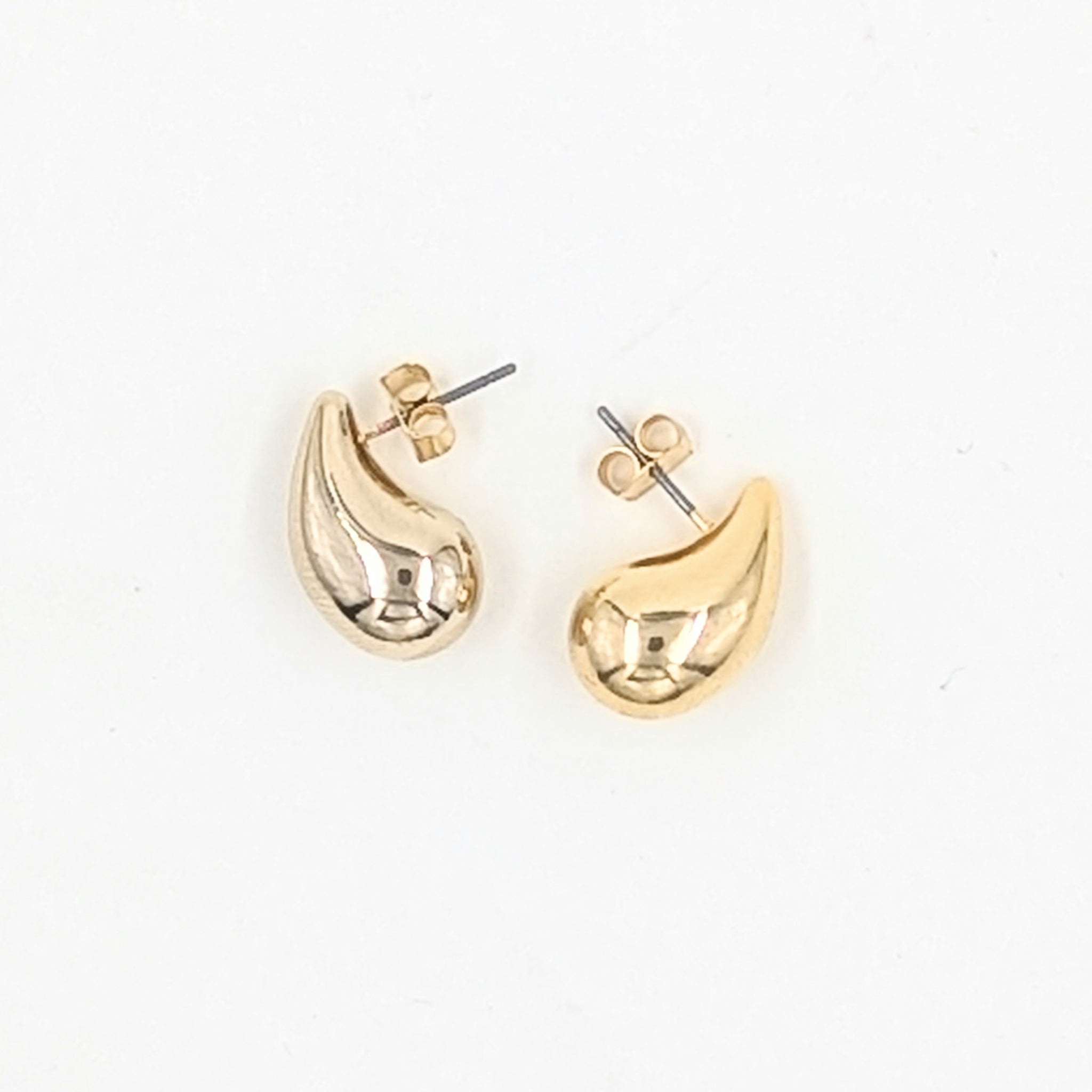 Earrings-Dolphin Style Drops