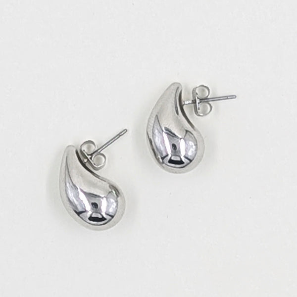 Earrings-Dolphin Style Drops