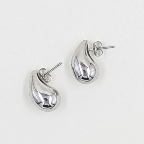 Earrings-Dolphin Style Drops