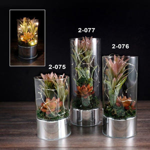 Vase avec plante