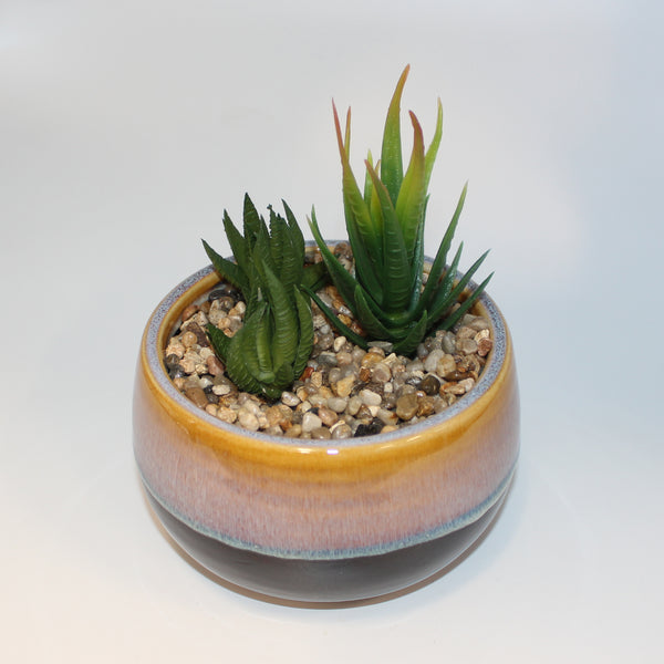 Aloes in Ceramic-Lg.